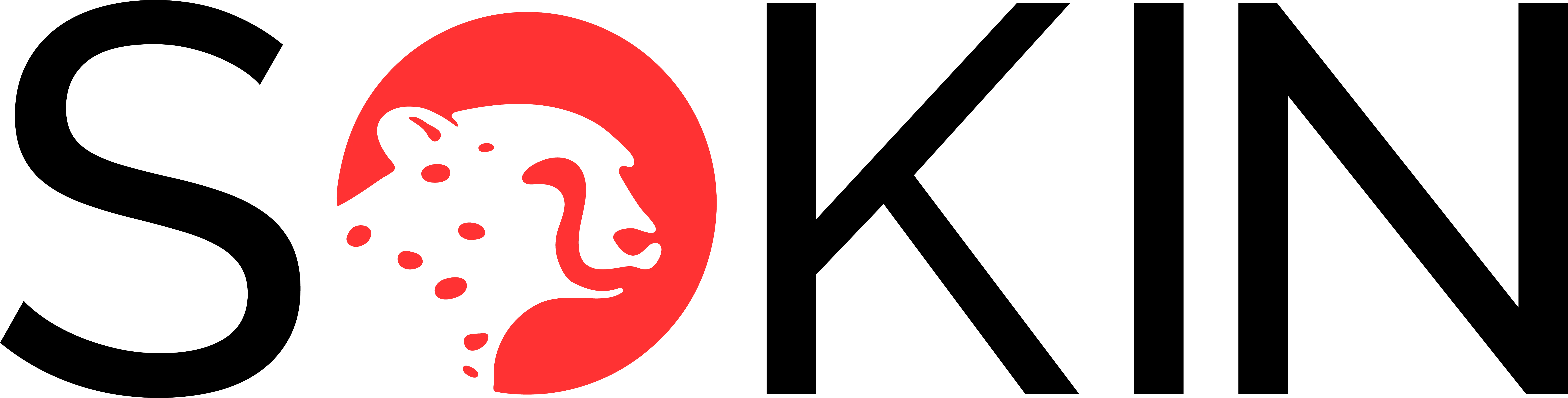 Sokin old logo
